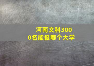 河南文科3000名能报哪个大学