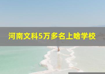 河南文科5万多名上啥学校