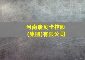 河南瑞贝卡控股(集团)有限公司