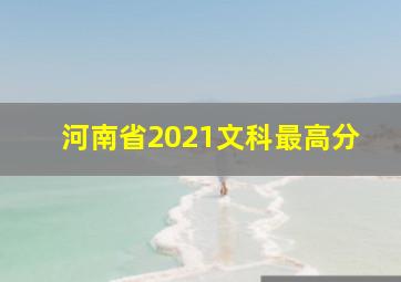 河南省2021文科最高分