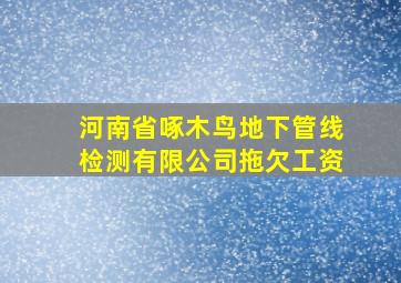 河南省啄木鸟地下管线检测有限公司拖欠工资