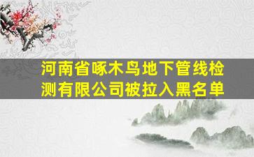 河南省啄木鸟地下管线检测有限公司被拉入黑名单