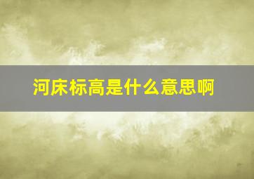 河床标高是什么意思啊