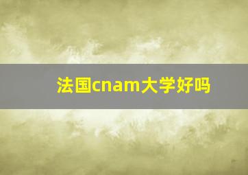 法国cnam大学好吗