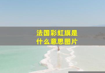 法国彩虹旗是什么意思图片