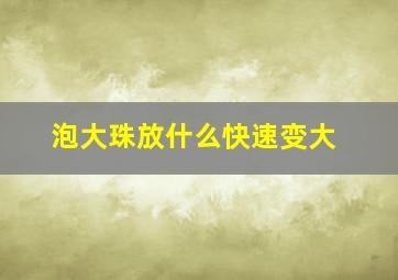 泡大珠放什么快速变大