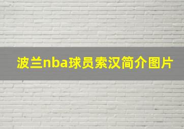 波兰nba球员索汉简介图片