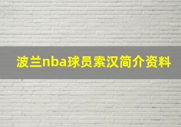 波兰nba球员索汉简介资料