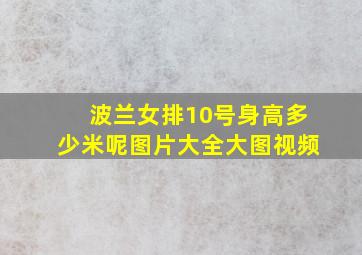 波兰女排10号身高多少米呢图片大全大图视频