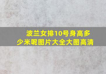 波兰女排10号身高多少米呢图片大全大图高清