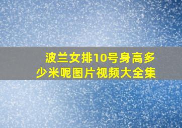 波兰女排10号身高多少米呢图片视频大全集