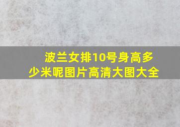 波兰女排10号身高多少米呢图片高清大图大全