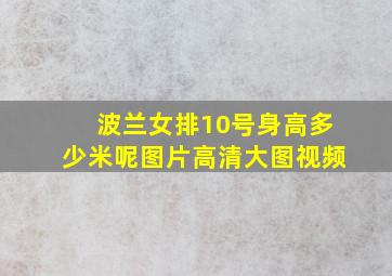 波兰女排10号身高多少米呢图片高清大图视频