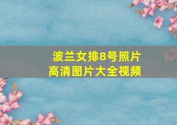 波兰女排8号照片高清图片大全视频