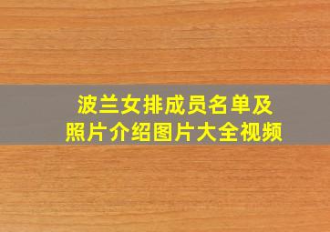 波兰女排成员名单及照片介绍图片大全视频