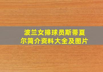 波兰女排球员斯蒂夏尔简介资料大全及图片