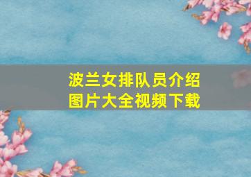 波兰女排队员介绍图片大全视频下载