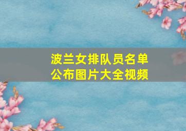 波兰女排队员名单公布图片大全视频