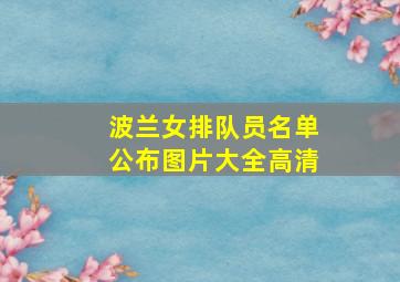 波兰女排队员名单公布图片大全高清