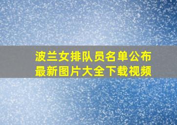 波兰女排队员名单公布最新图片大全下载视频