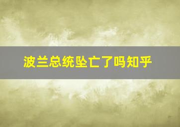 波兰总统坠亡了吗知乎