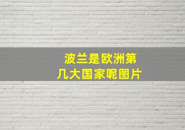 波兰是欧洲第几大国家呢图片