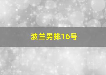 波兰男排16号