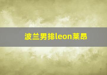 波兰男排leon莱昂