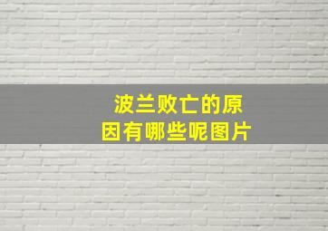 波兰败亡的原因有哪些呢图片