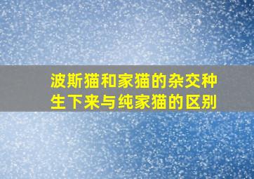 波斯猫和家猫的杂交种生下来与纯家猫的区别