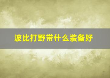 波比打野带什么装备好