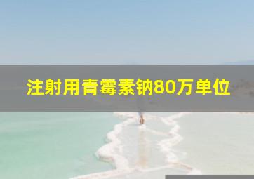 注射用青霉素钠80万单位