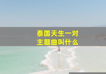 泰国天生一对主题曲叫什么