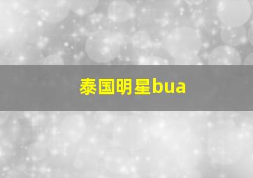 泰国明星bua