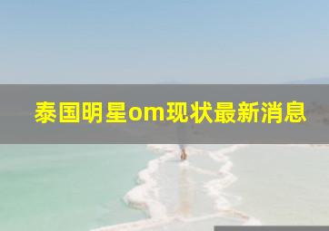 泰国明星om现状最新消息