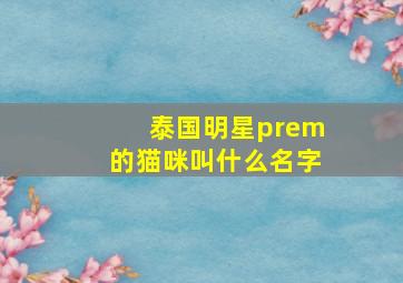 泰国明星prem的猫咪叫什么名字