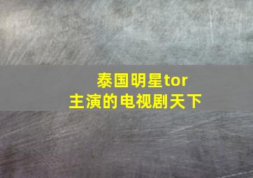 泰国明星tor主演的电视剧天下