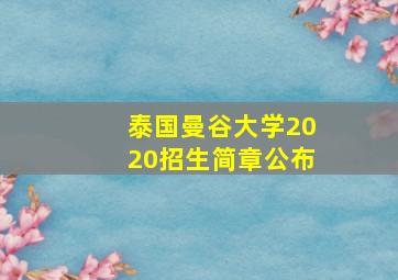 泰国曼谷大学2020招生简章公布