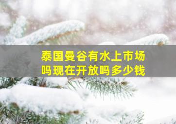 泰国曼谷有水上市场吗现在开放吗多少钱