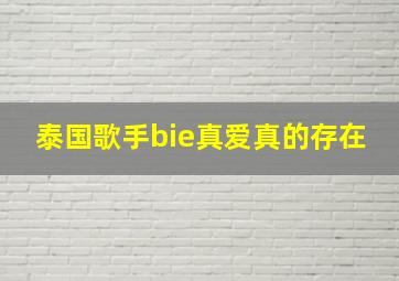 泰国歌手bie真爱真的存在