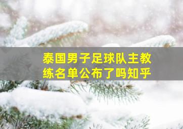 泰国男子足球队主教练名单公布了吗知乎