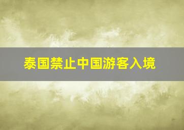 泰国禁止中国游客入境