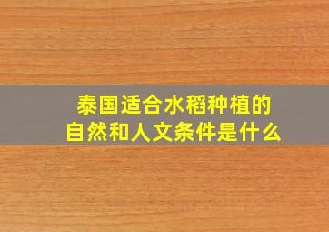 泰国适合水稻种植的自然和人文条件是什么