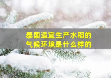 泰国适宜生产水稻的气候环境是什么样的