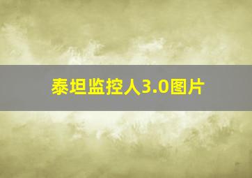 泰坦监控人3.0图片