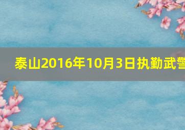 泰山2016年10月3日执勤武警