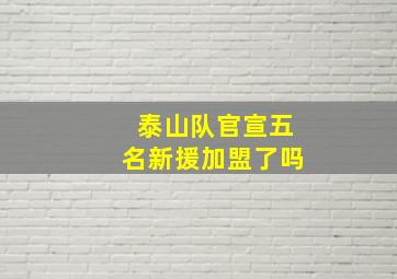 泰山队官宣五名新援加盟了吗