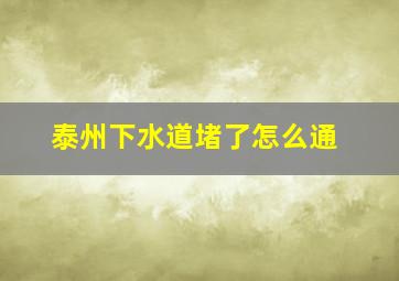 泰州下水道堵了怎么通