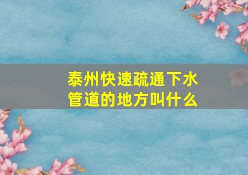 泰州快速疏通下水管道的地方叫什么