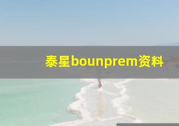 泰星bounprem资料